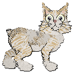 Profile image of Calluna's Star of the Snow