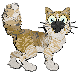 Profile image of Tea/Calluna's Itsy Bitzy