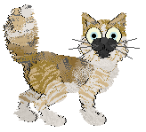 Tea/Calluna's Itsy Bitzy — “Bitzy”