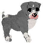 Poppyhill's Time to Galvanize — “Galveston”