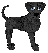 Poppyhill's Starless Saint — “Theron”