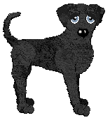 Profile image of Poppyhill's Starless Saint