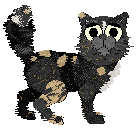 Calluna's Allium in Effect — “Scallion”