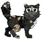 Profile image of Calluna's Allium in Effect