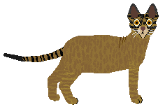 Airship Monkey 47 — “Chimp”