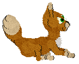 Pinto/Calluna's House of Sophisto — “Arabia”