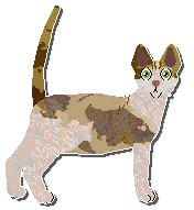 Profile image of Airship Gin Ting