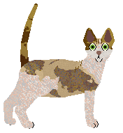 Airship Gin Ting — “Marnie”