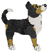 Geriatrix Ball and Chain — “Rochelle”