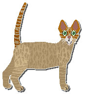 Profile image of Airship Gin Ting