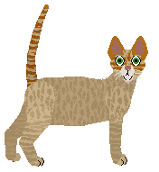 Airship Gin Ting — “Kenzo”