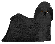 Profile image of Silkwitch Taffeta