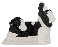 Silkwitch Velvet — “Story”