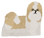 Profile image of Silkwitch Satin