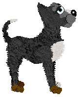 Bec's a Match Ignited at Chachke — “Ty”