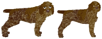 Profile image of Vento de Espero's Chocolate Covered Bullet