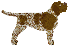 Novablue Release Me — “Sabina”