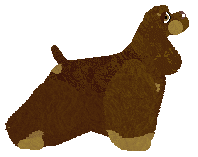 Lyric Hill's My Dream Came True — “Lucy”