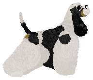 Energizing WINNER TAKES IT ALL — “Junior”