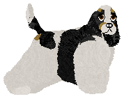 Profile image of Energizing Bugatti