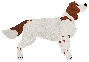 Rhapsody In Red at Gunhill — “Rogan”