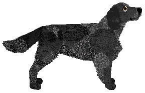 Pins'n'Needles/Bermuda FABRYKA KOŚCI — “Febby”