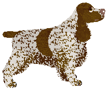 Paradise About a Girl — “Fiona”