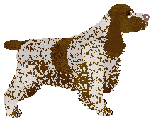 Paradise About a Girl — “Fiona”