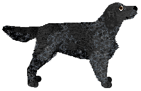 Pins'n'Needles/Bermuda INTELEKTUALNY LABIRYNT — “Labirynt”