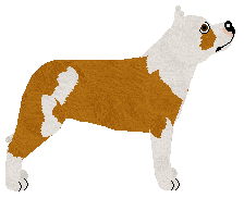 Puerto Negro's GOING FOR A WALK — “After”