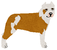 Profile image of Puerto Negro's GOING FOR A WALK