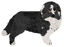 Profile image of Severen Grum BADOU