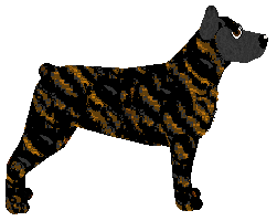 Loveshack SOMETHING BLUE — “Ciapek”