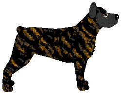 Loveshack SOMETHING BLUE — “Ciapek”