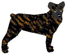 Profile image of Loveshack SOMETHING BLUE