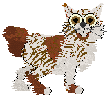 EC's Gourmet Marinara — “Rotini”