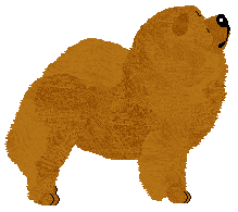 Energizing Blind Love — “Ricco”