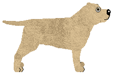 Akili Storm Kloud — “Akili”