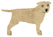 Profile image of Akili Storm Kloud