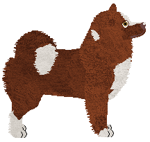 Dragosani CZERWONA KRÓLOWA — “Luiza”