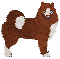 Profile image of Dragosani CZERWONA KRÓLOWA