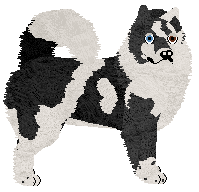 Profile image of Dragosani Z NIEGO ABSYNT