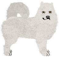 Profile image of Dragosani BIAŁE JAK ŚNIEG