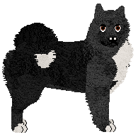 Profile image of Dragosani CZARNE JAK HEBAN