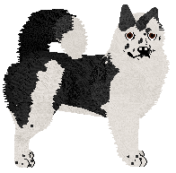 Profile image of Dragosani MROCZNE UMYSŁY