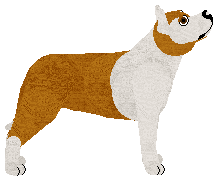 Freavay's AMERICANS RHYTHMS — “Campari”