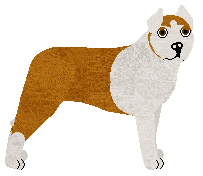 Profile image of Freavay's AMERICANS RHYTHMS