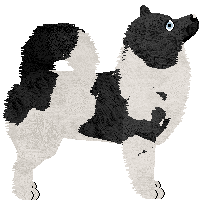 Dragosani SIEDEM CUDÓW ŚWIATA — “Seven”