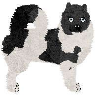 Profile image of Dragosani SIEDEM CUDÓW ŚWIATA