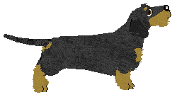 Energizing Maryla Rodowicz — “Maryla”